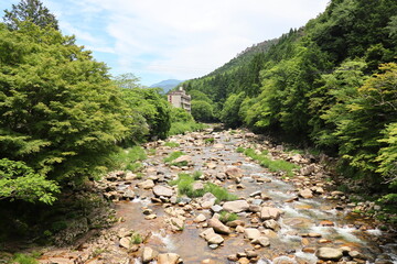 初夏の奥津渓谷の風景