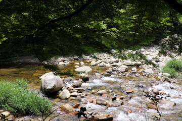 初夏の奥津渓谷の風景