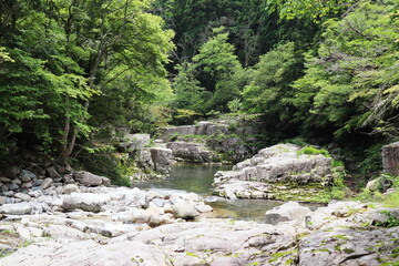 初夏の奥津渓谷の風景
