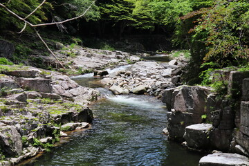 初夏の奥津渓谷の風景