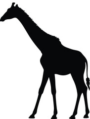 Giraffe silhouette illustration, African wildlife vector art, tall animal graphic, exotic species design, black and white drawing, safari theme artwork, wild mammal nature conservation concept image