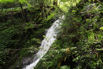 岡山県津山市にある横野滝