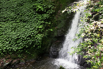 岡山県津山市にある横野滝