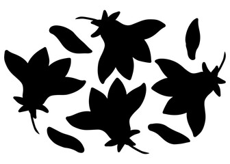 Vector illustration of a set of black silhouettes of hibiscus flowers, abstract shapes