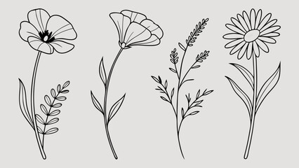 Naklejka premium Outlined Floral Illustrations Featuring Various Blooming Flowers and Foliage.