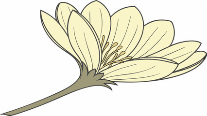Obraz premium Stylized Illustration of a CreamColored Flower with Stem.