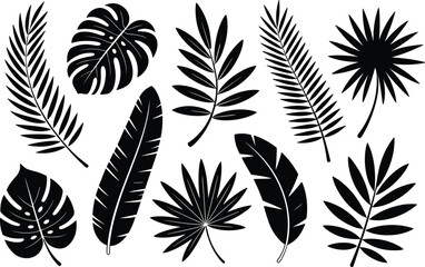 Tropical leaf silhouettes, exotic foliage collection, botanical vector design, nature-inspired illustration, black and white plant shapes, decorative elements