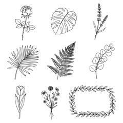 Black and white line art illustrations of various flowers and leaves rose monstera leaf