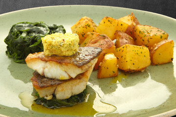 Fish Steak Fillet