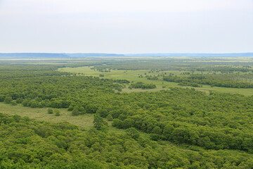 Obraz premium Panorama Summer View of Kushiro Marsh Wetland in Hokkaido, Japan
