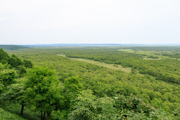 Obraz premium Panorama Summer View of Kushiro Marsh Wetland in Hokkaido, Japan