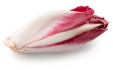 Red endive or chicory on white background. File contains clipping path.