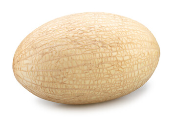 White oval melon isolated on white background. File contains clipping path.