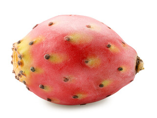 Opuntia fruit or prickly pear cactus isolated on white background. Cut out PNG file.