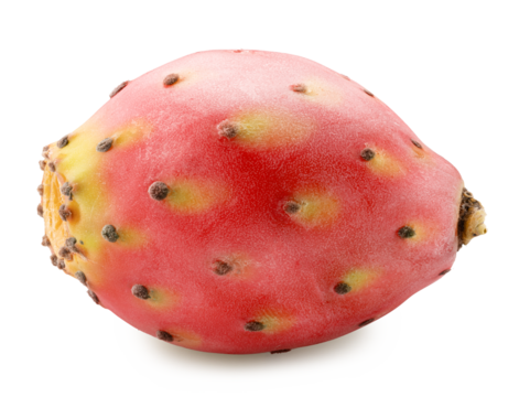 Opuntia fruit or prickly pear cactus isolated on white background. Cut out PNG file.