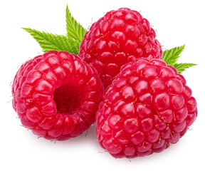 Three raspberries with raspberry leaves isolated on a white background. Maximum detail and...