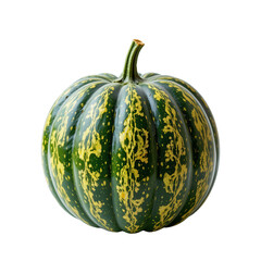 Harvesting individual winter melon in a lush garden fresh produce photography vibrant environment