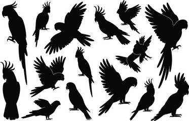 Silhouettes of flying and perched parrots, tropical exotic birds, wild nature animals, bird feathers, wildlife collection, pet birds, animal freedom, exotic wildlife