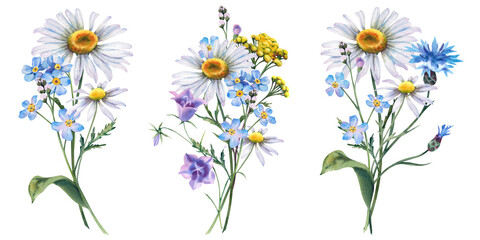 Set of bouquets of wildflowers. Hand-painted watercolor botanical illustration. A bouquet of meadow flowers with forget-me-not, cornflowers, tansy, chamomile and bluebells on an isolated background.