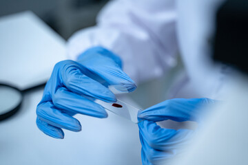 Laboratory research with blood sample in tube being dripped for medical test using liquid medicine...