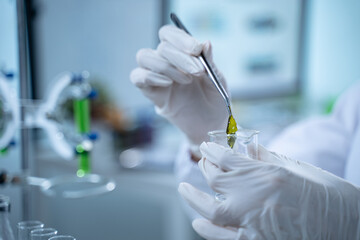 In the green laboratory, science and chemistry merge as biology experts conduct research, test each...