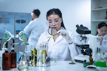 In the green laboratory, science and chemistry merge as biology experts conduct research, test each...