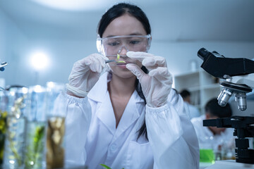 In the green laboratory, science and chemistry merge as biology experts conduct research, test each...