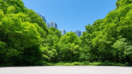 Lush greenery meets city skyline on a paved expanse.