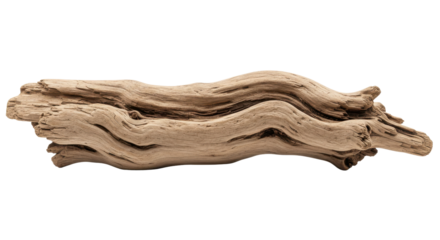 Weathered driftwood log isolated PNG with Transparent Background