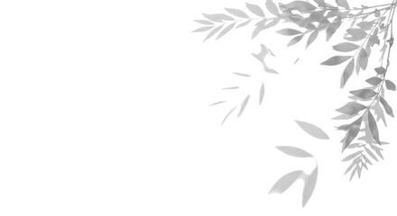 Obraz premium Elegant branch with leaves for commercial use isolated PNG with Transparent Background