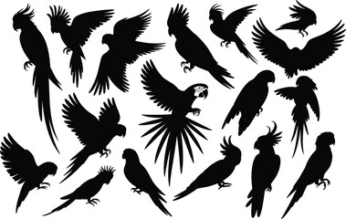 Silhouettes of various parrots in different poses, flying and perched, exotic birds, tropical wildlife, nature, colorful feathers, pet birds, freedom, animal divers