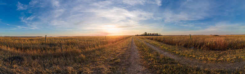 Panorama of country farm lane running through prairie fields with the rising sun on the horizon under a blue sky with swirling clouds