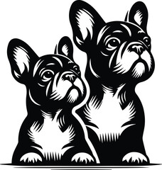 Two French Bulldogs Black and White Portrait