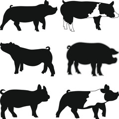 Show Pigs Livestock Silhouette Bundle, Show Pig Stock SVG, Livestock svg, pork Farm Animal SVG File Cutting, Pig Silhouettes Black and White Illustrations