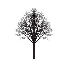 Black silhouette of a bare, leafless tree. Winter tree icon with naked branches, a symbol of nature, autumn, and dormancy, isolated on a white background.
