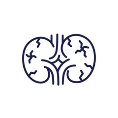 Obraz premium kidney damage icon, nephropathy line design