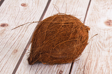 Tropical exotic brown haired coconut