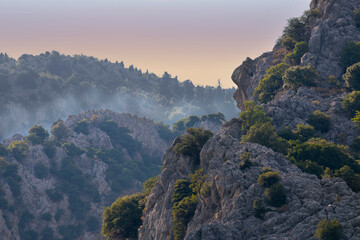 Top of mountains. Eroded cliff of limestone with brown and grey colours. Green forest trees.