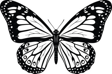 Butterfly silhouette vector illustration, monarch wings pattern, black and white insect design, detailed symmetrical shape, nature wildlife art, decorative graphic element