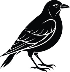 Obraz premium A stylized, solid black bird with white outline details stands in profile, conveying a graphic, minimalist, and elegant mood. 
