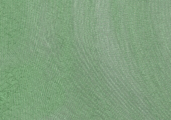 Green abstract texture background with smooth shapes design, Artistic green greeting card template for your design