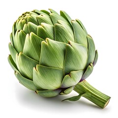 Fototapeta premium Castel Artichoke Compact Green Globes with Neatly Layered Petals in Refined Studio Still Life on Bright White Background