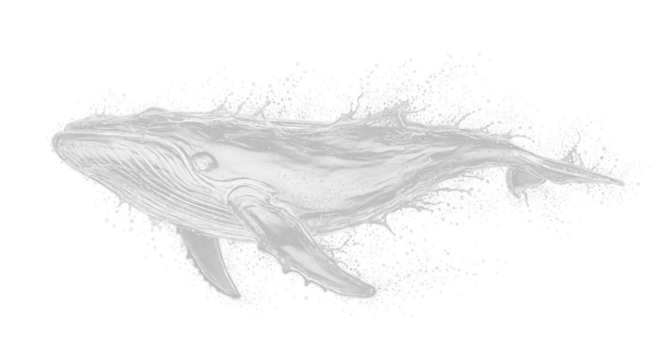 Black ink drawing of a bird silhouette with feather patterns and an octopus sketch, a sea horse vector illustration, and a fish design from nature