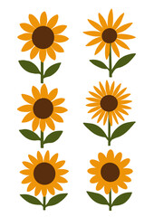 set of sunflowers