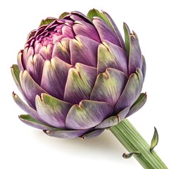 Obraz premium Purple Sicilian Artichoke Vibrant Violet-Tinged Globes with Layered Petals in Striking Studio Still Life on Bright White Background