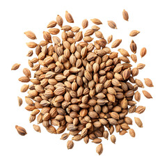 Vibrant Small Pile of Ultra-Realistic Ajwain Carom Seeds Stock Photo