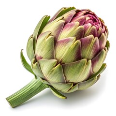 Obraz premium Opera Artichoke Elegant Green Globes with Layered Petals in Refined Studio Still Life on Pristine White Background