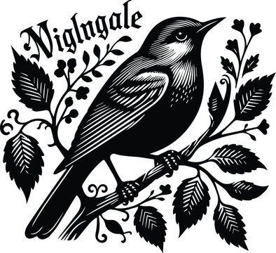 Elegant Nightingale Bird Perched on Floral Branch