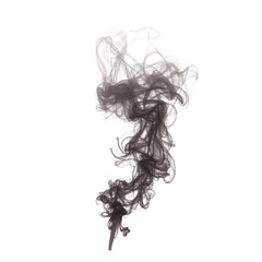 Fototapeta premium Abstract dark smoke swirls transparent background design element