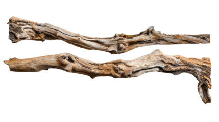 Two beautifully textured driftwood pieces with intricate patterns and rich colors, set against a plain background, perfect for natural decor or artistic projects